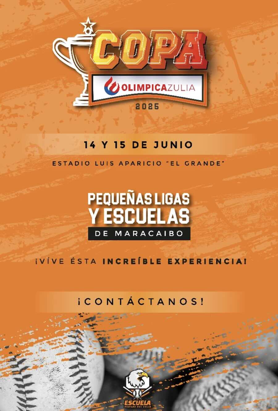Copa14y15jun